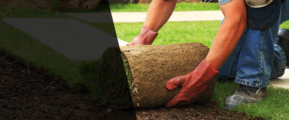 Milan Landscapers
